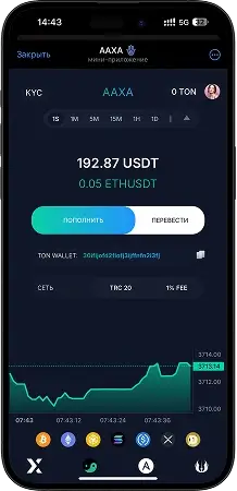 Экран Mini-app Q на смартфоне